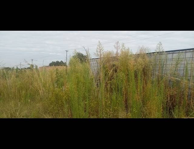4,502M² VACANT LAND FOR SALE IN RIVERSDALE